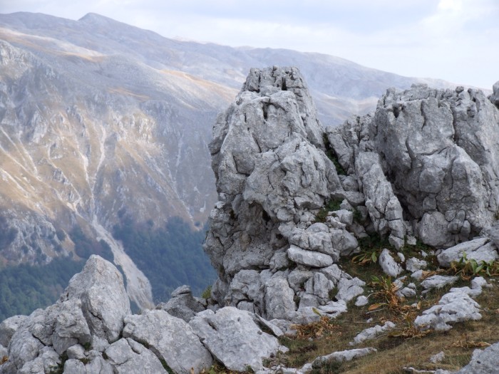 Sculture naturali